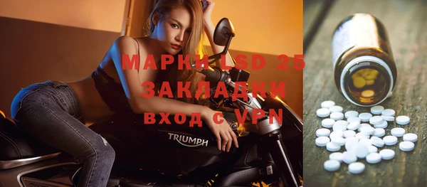 индика Беломорск