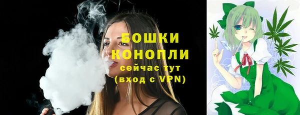 индика Беломорск