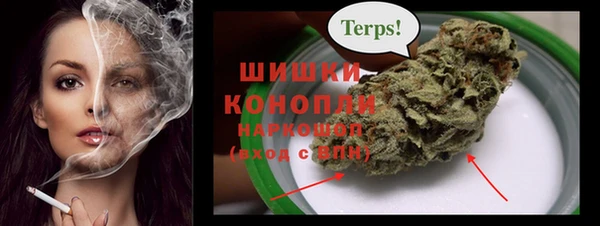 крисы Богородицк