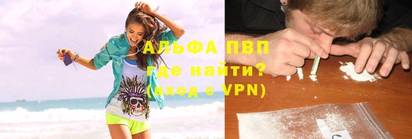 индика Беломорск