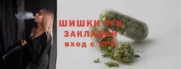 индика Беломорск