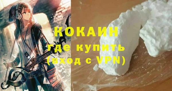 индика Беломорск