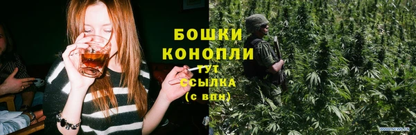 гидропоника Белоозёрский