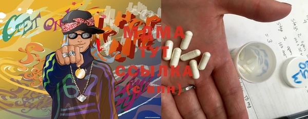 индика Беломорск