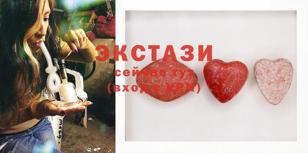 крисы Богородицк